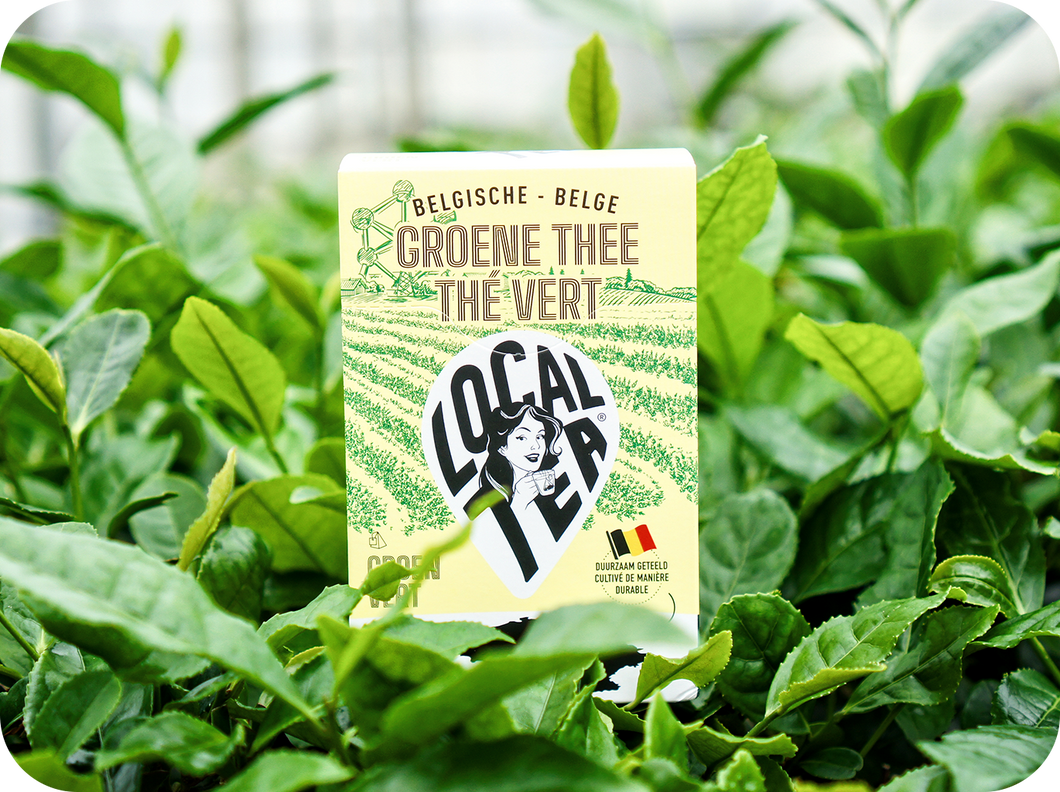 LocalTea GROEN (België) - per 8 doosjes